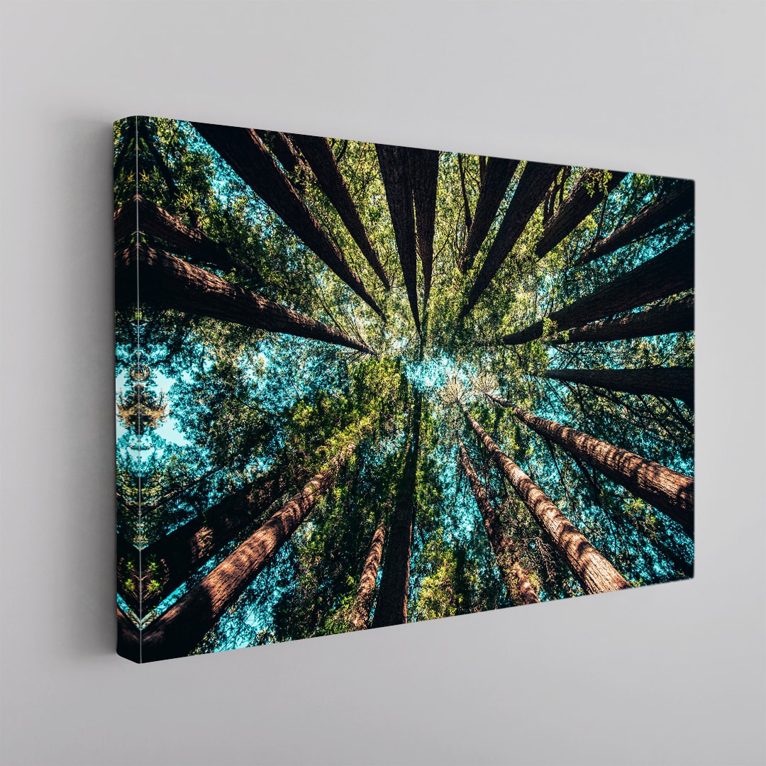 Bosque