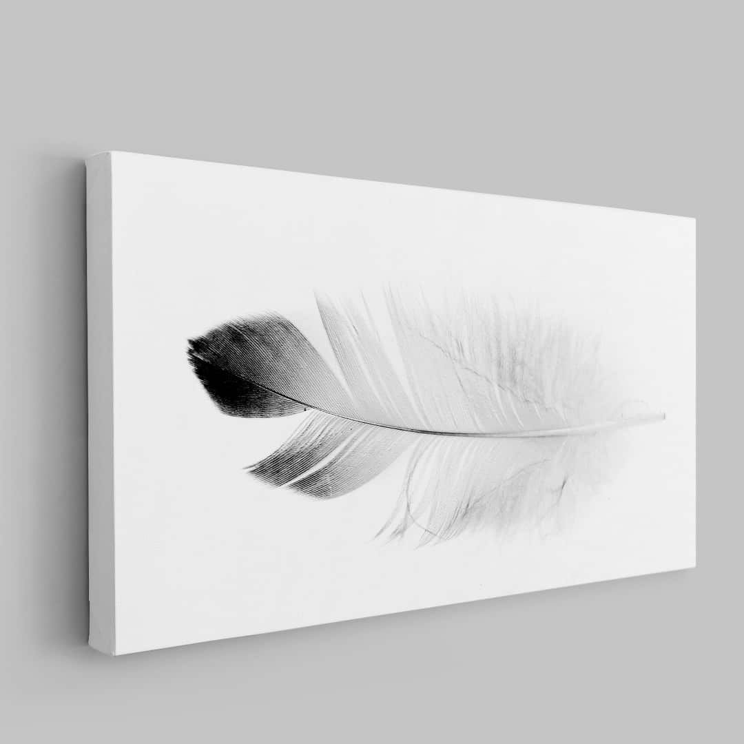 Pluma