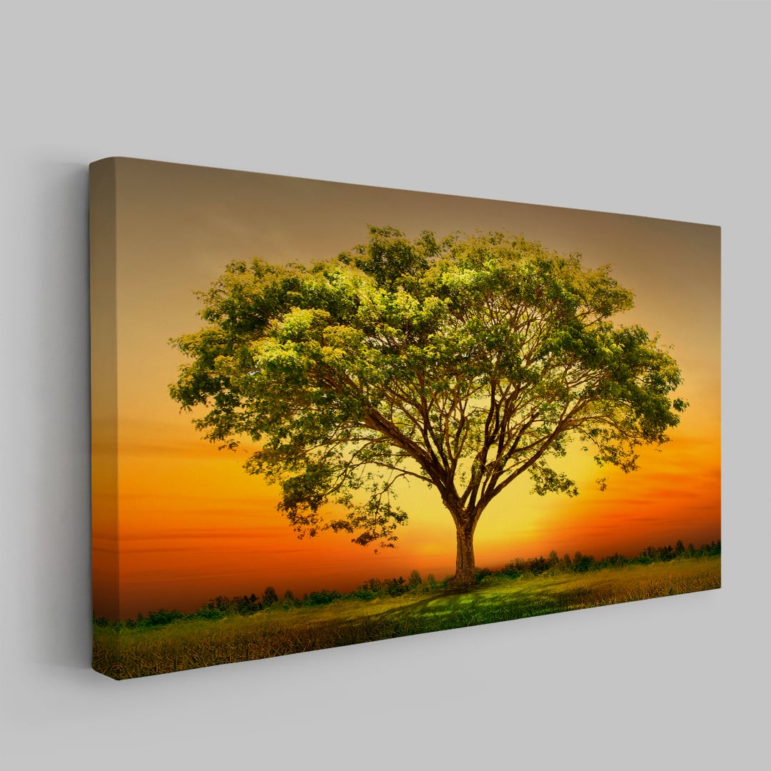 Arbol3