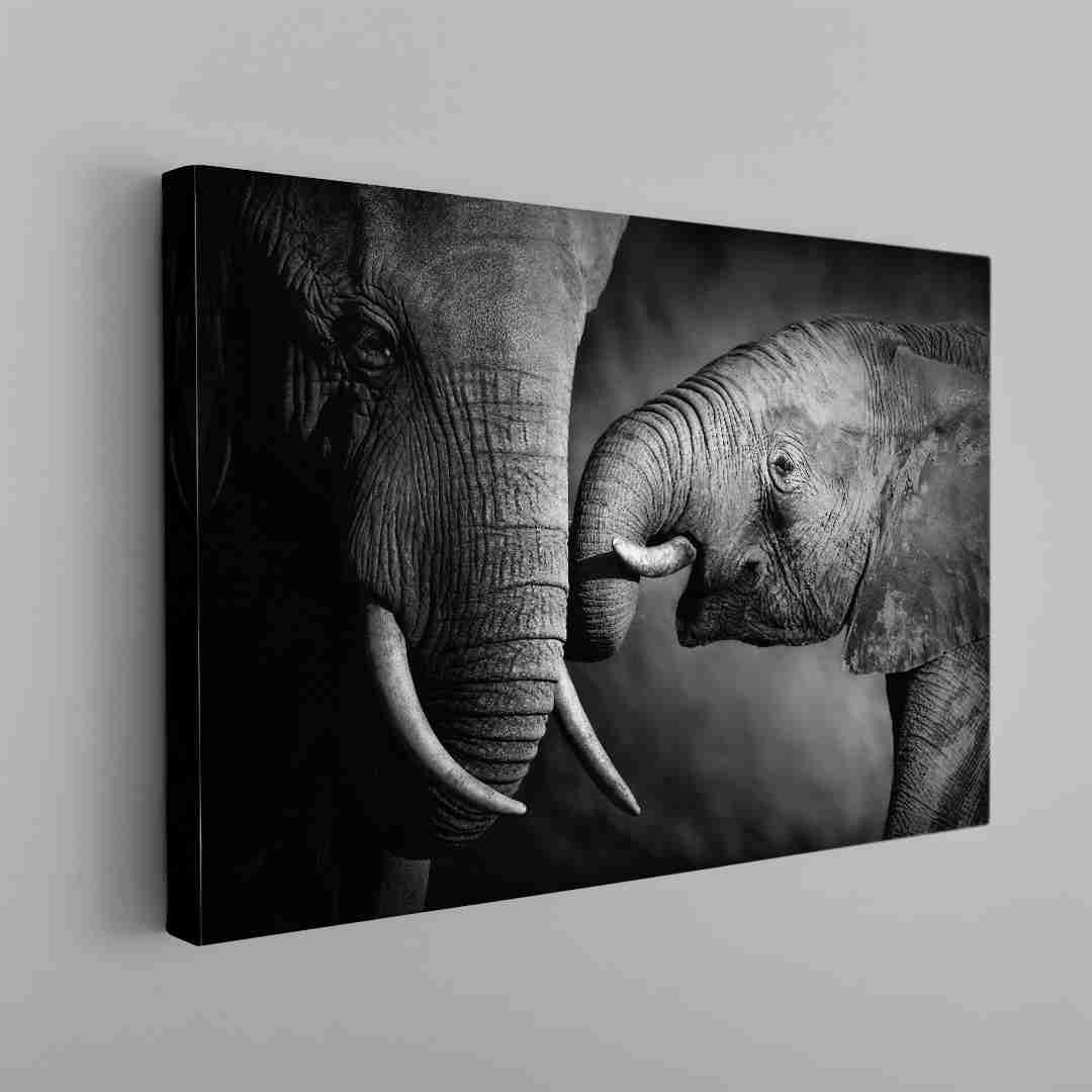 Elefante Bebe