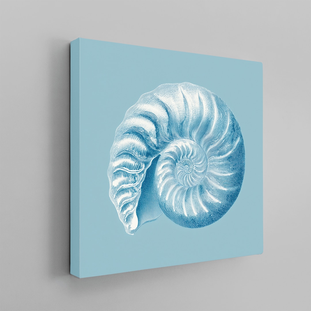 Nautilus