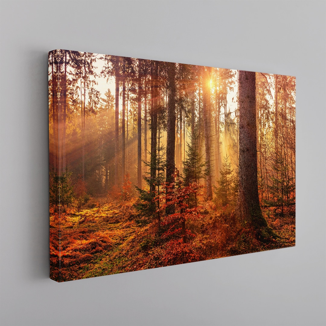 Bosque Dorado