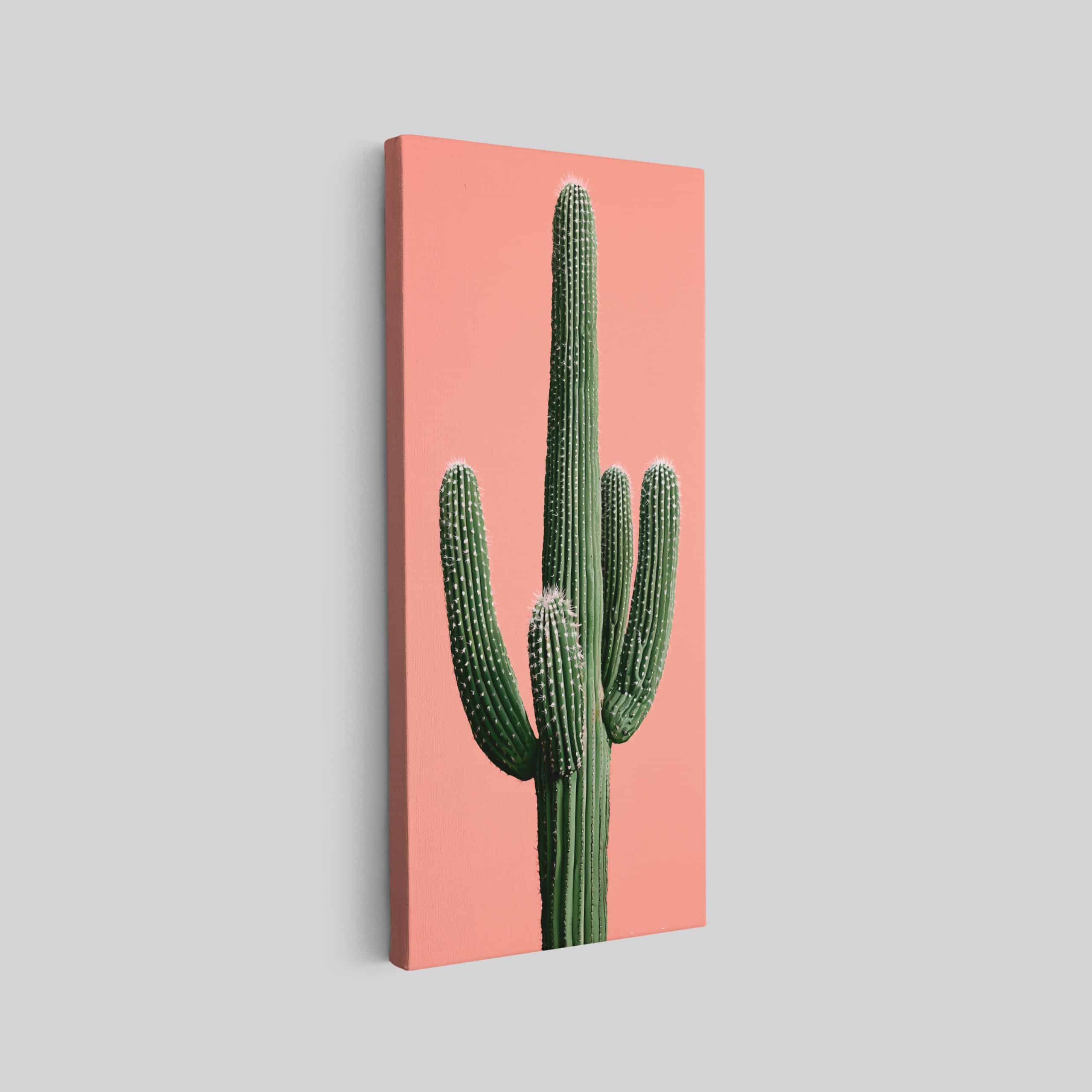 Cactus 3